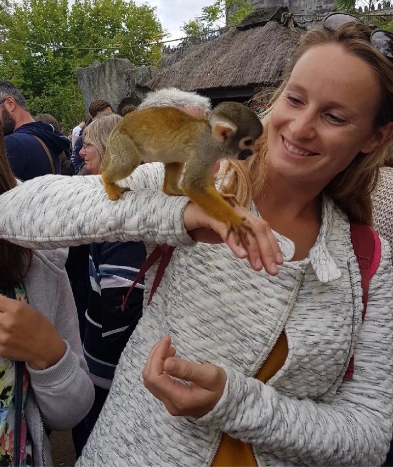 Kinésiologue animale Kinésiologie humaine Kinésiolgue en Normandie à caen